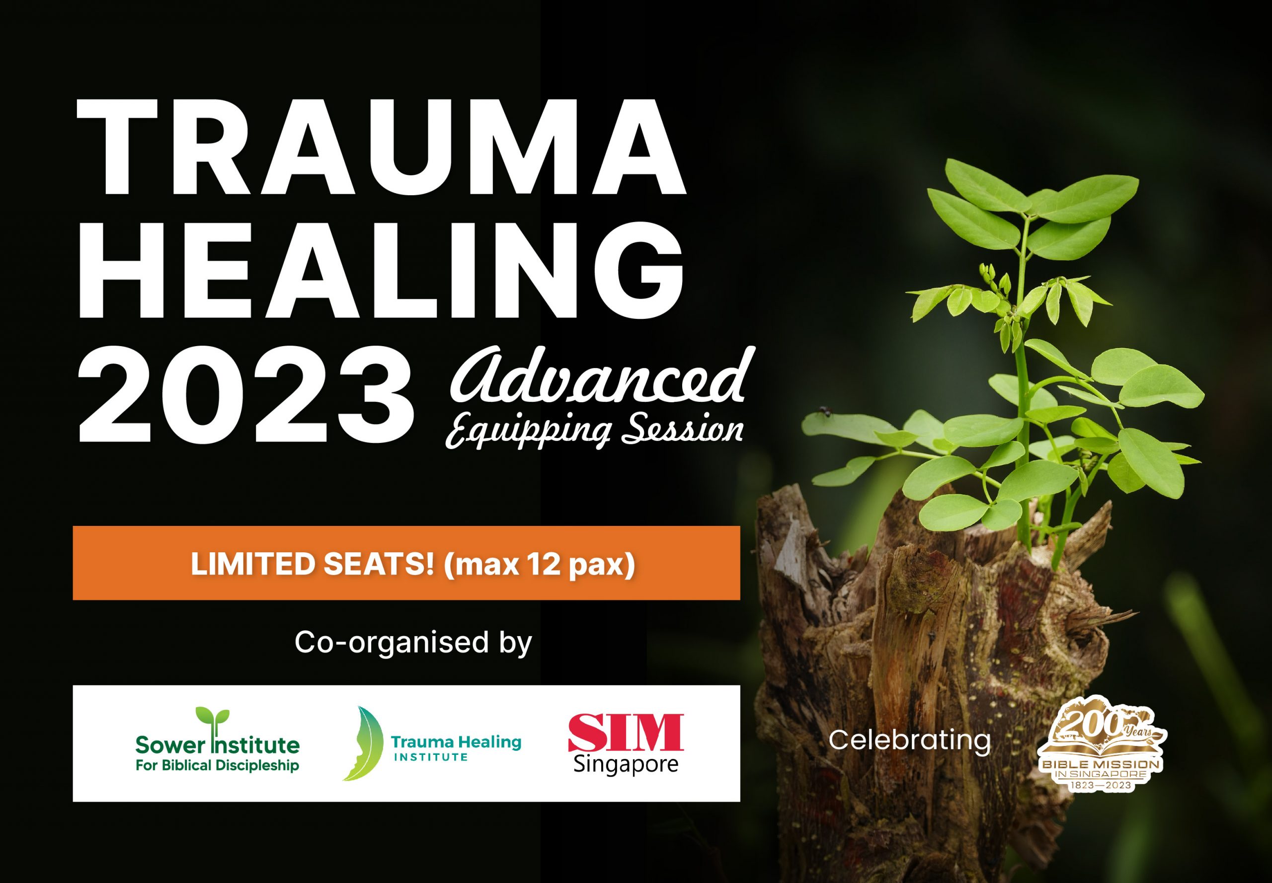 Trauma Healing - Advanced Equipping