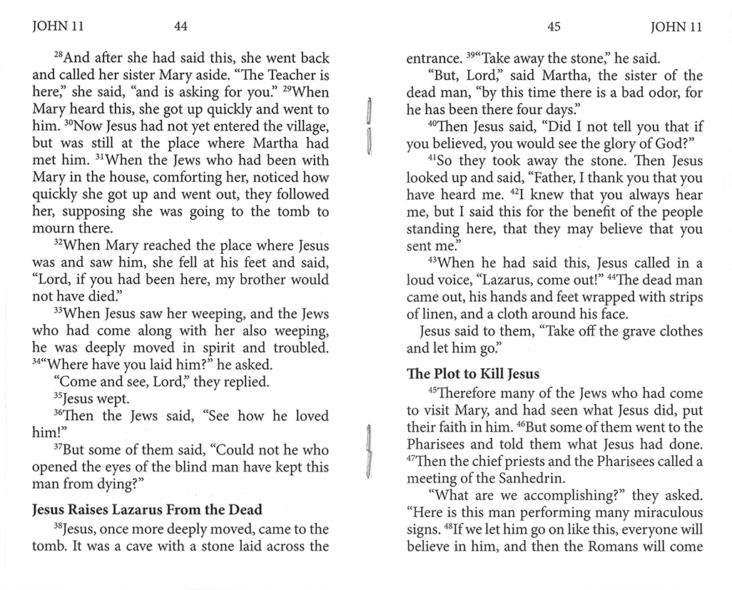 Gospel of John (SAC) – inside pages (HT-827px)