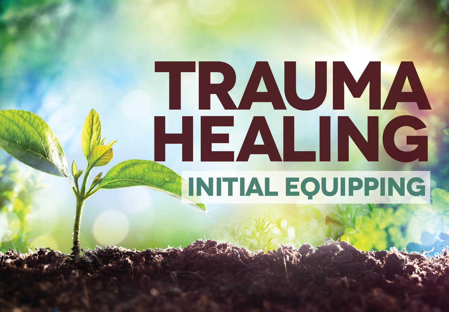 Trauma Healing Initial Equipping Trauma Healing Initial Equipping