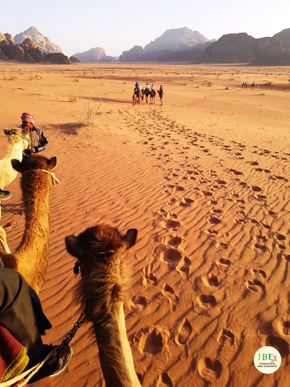 Wadi Rum (Photo Credit: Wendy Tan)
