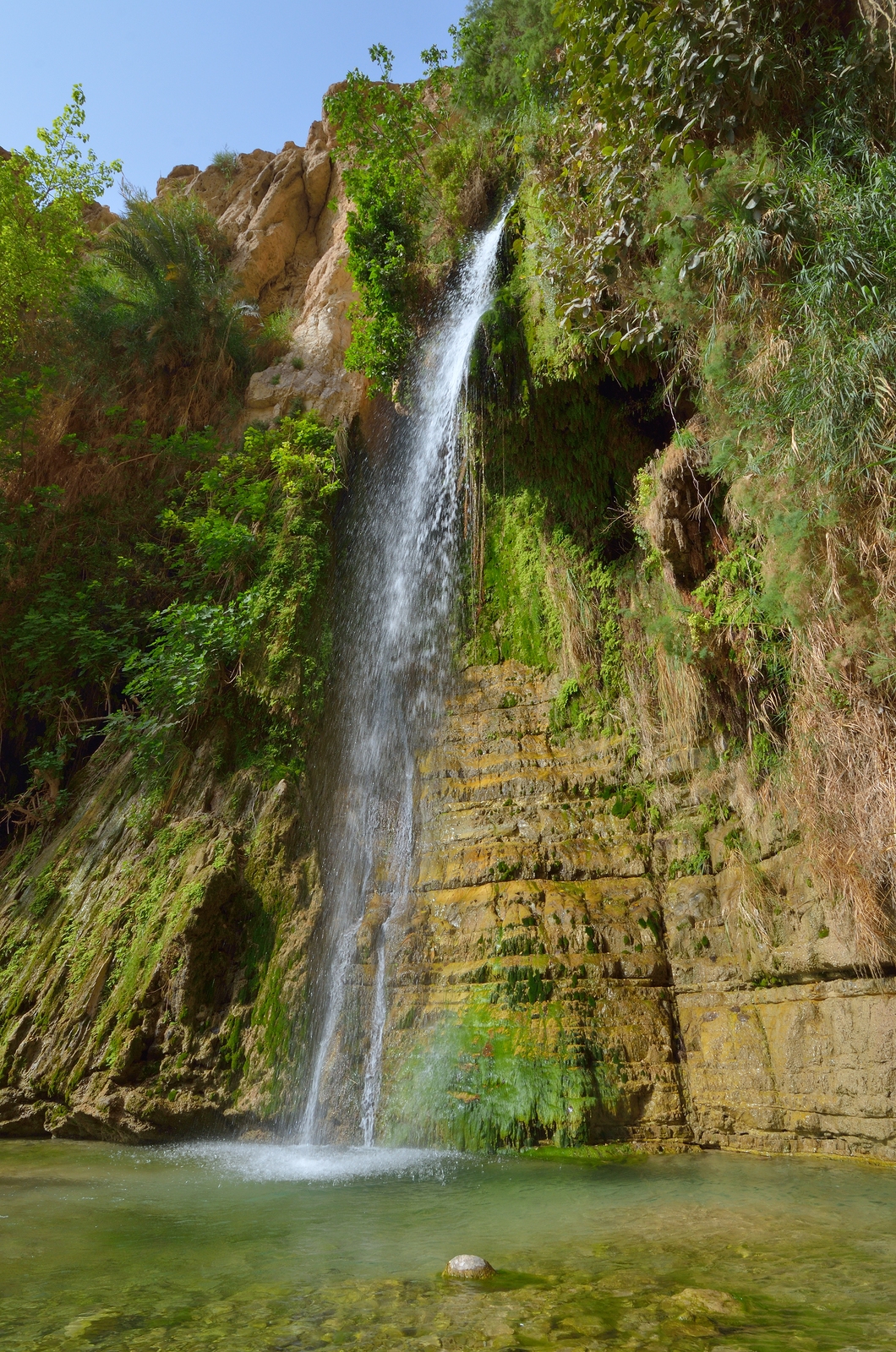 En Gedi
