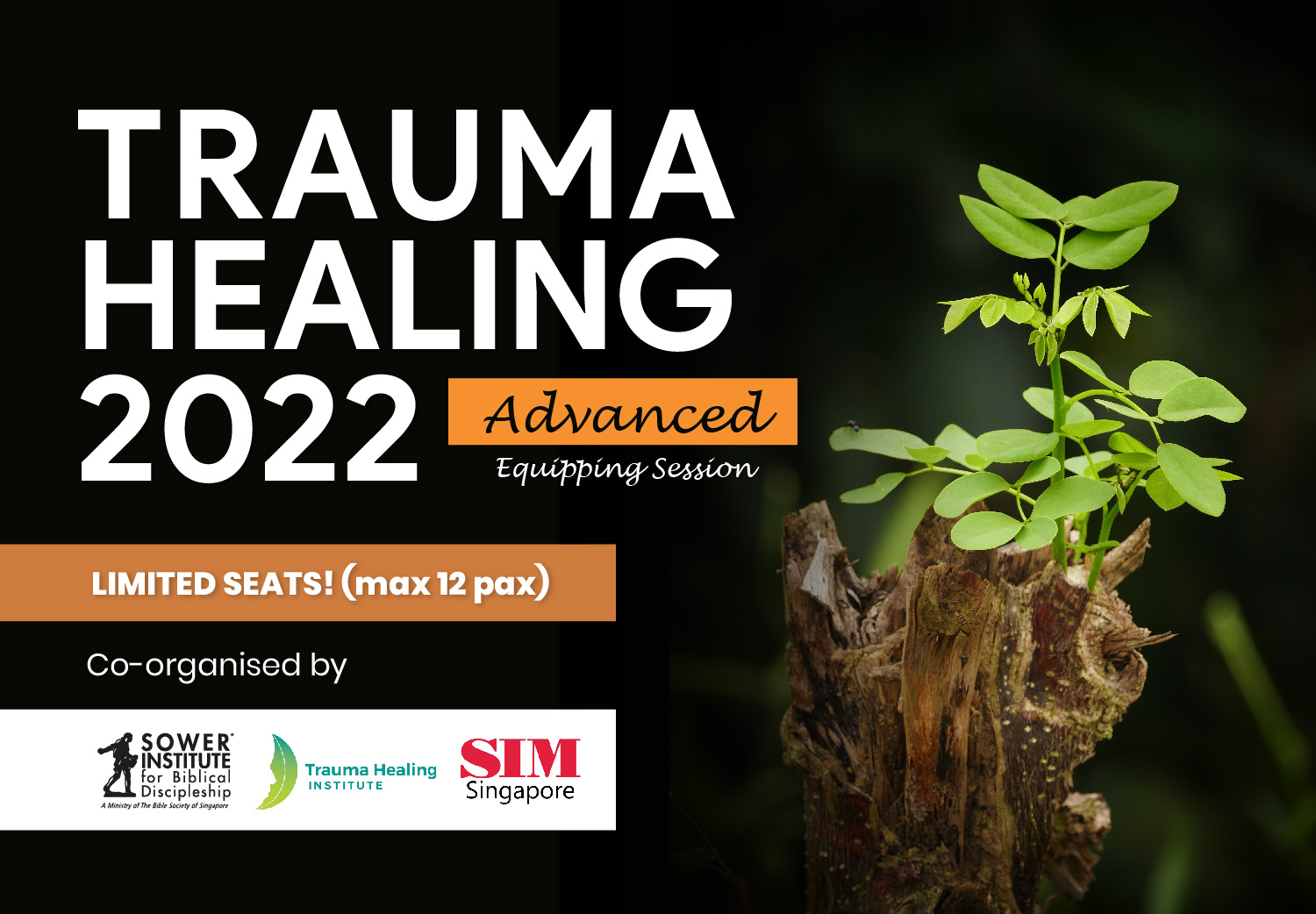 Trauma Healing - Advanced Equipping