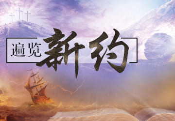 <strong>遍览新约</strong><br/><small> 师资培训课程 | 基础班</small> <strong>遍览新约</strong><br/><small> 师资培训课程 | 基础班</small>