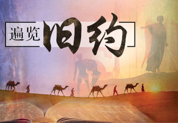 师资培训课程 师资培训课程